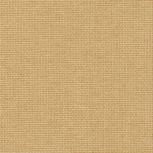 OLIVAR90504