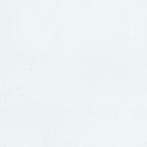 WILLOW 001