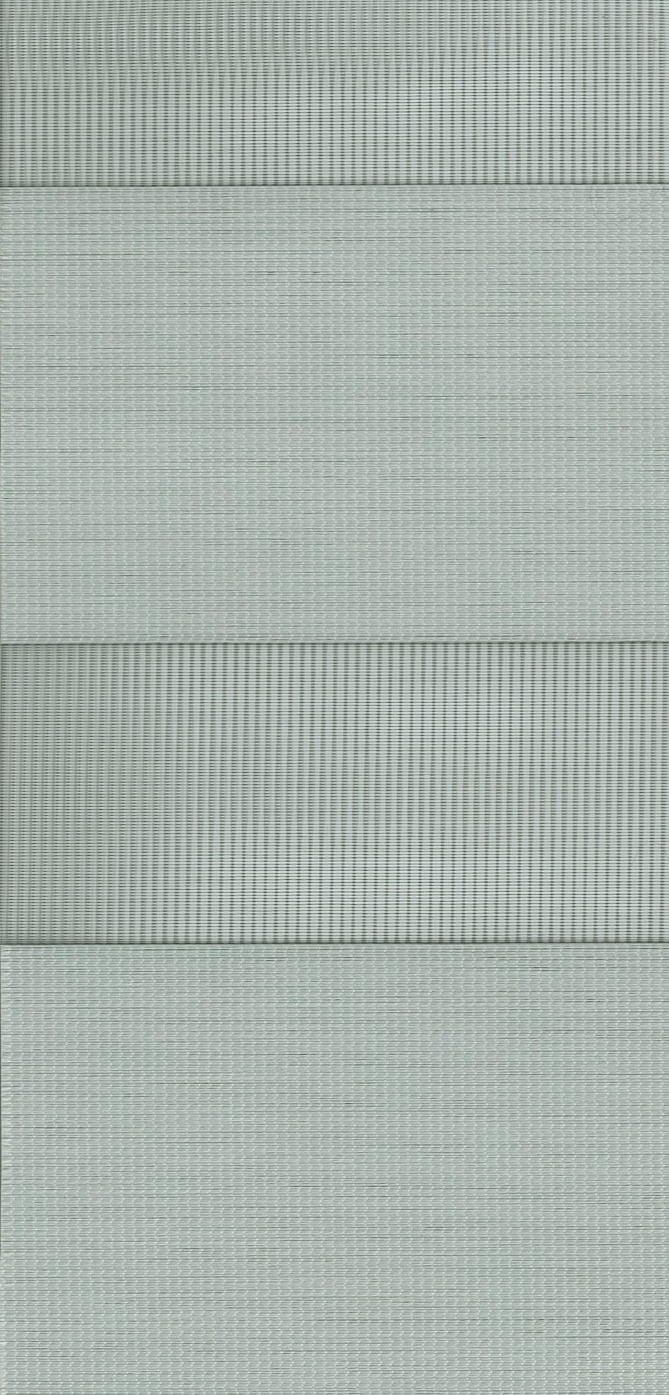 SYCAMORE 002